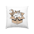 Verärgerter Kater in Kartonschachtel - Kissen 40x40cm Bright Lights Arts