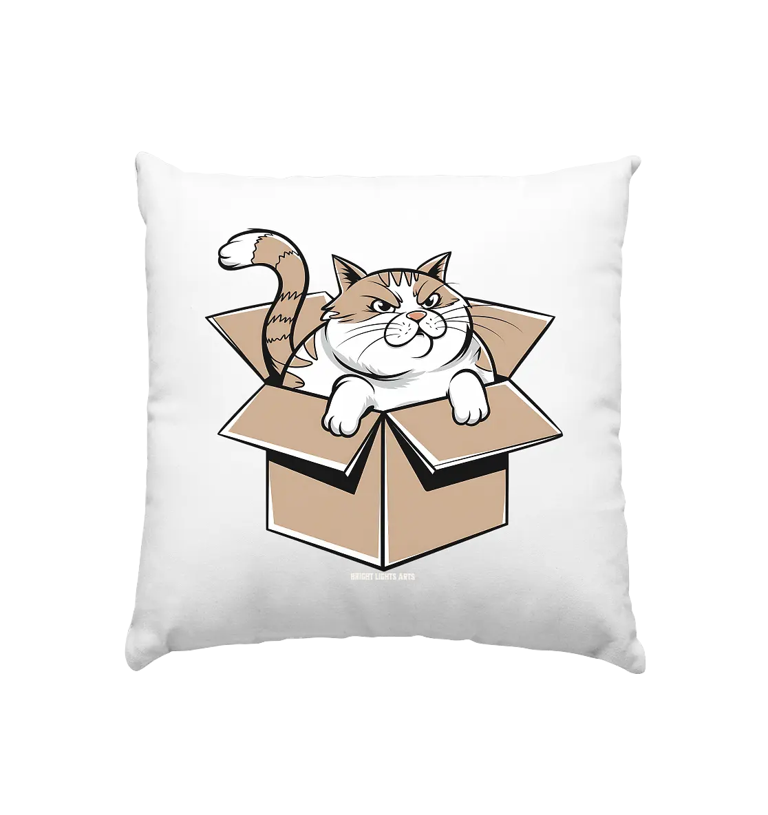 Verärgerter Kater in Kartonschachtel - Kissen 40x40cm Bright Lights Arts